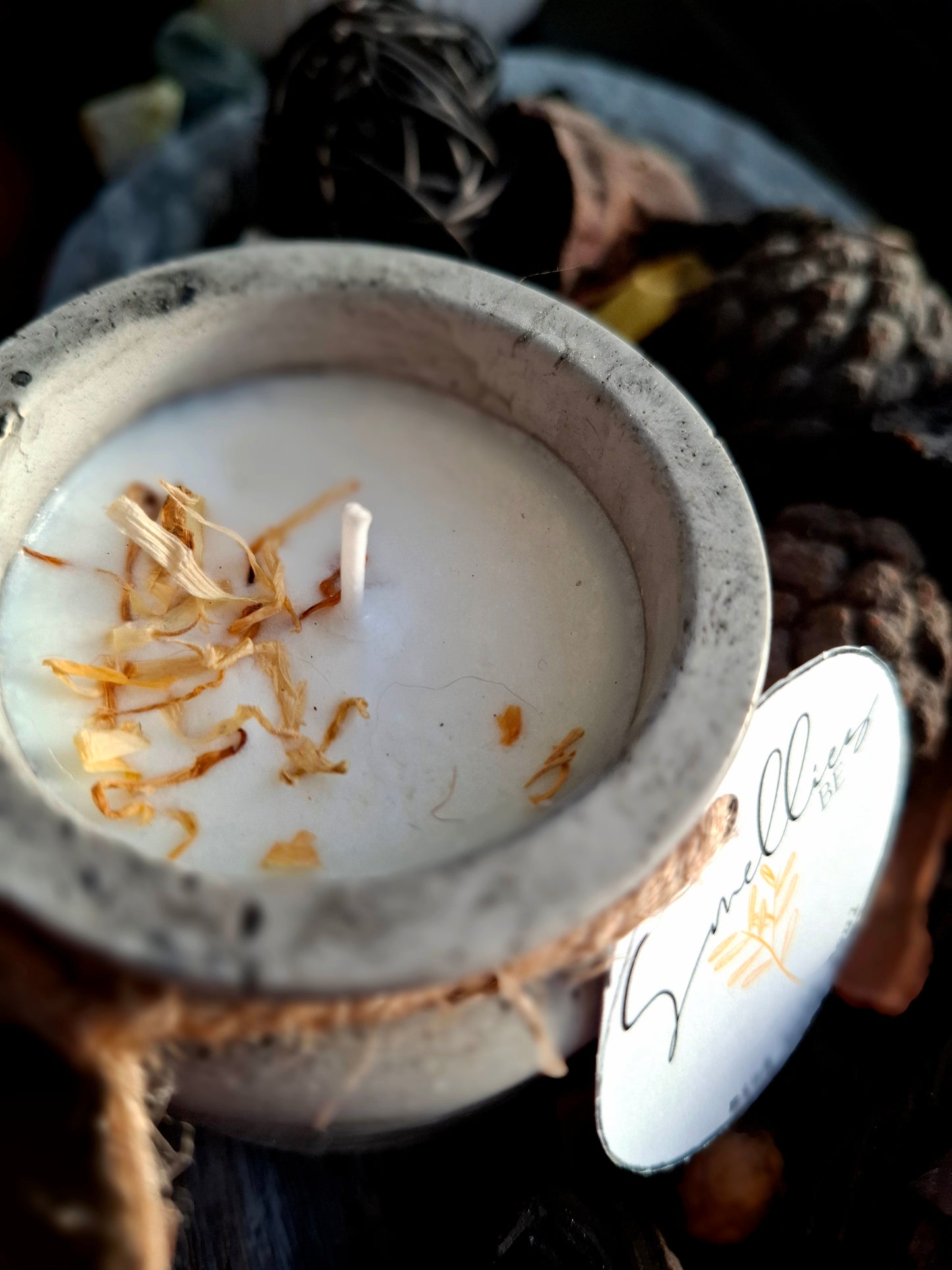 SOYWAX KAARS large